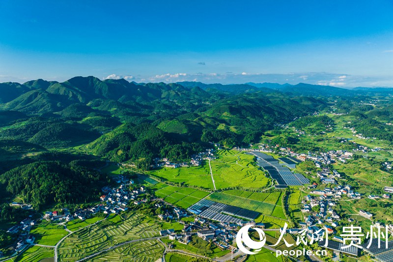 航拍貴州遵義花茂村全景。人民網(wǎng) 涂敏攝
