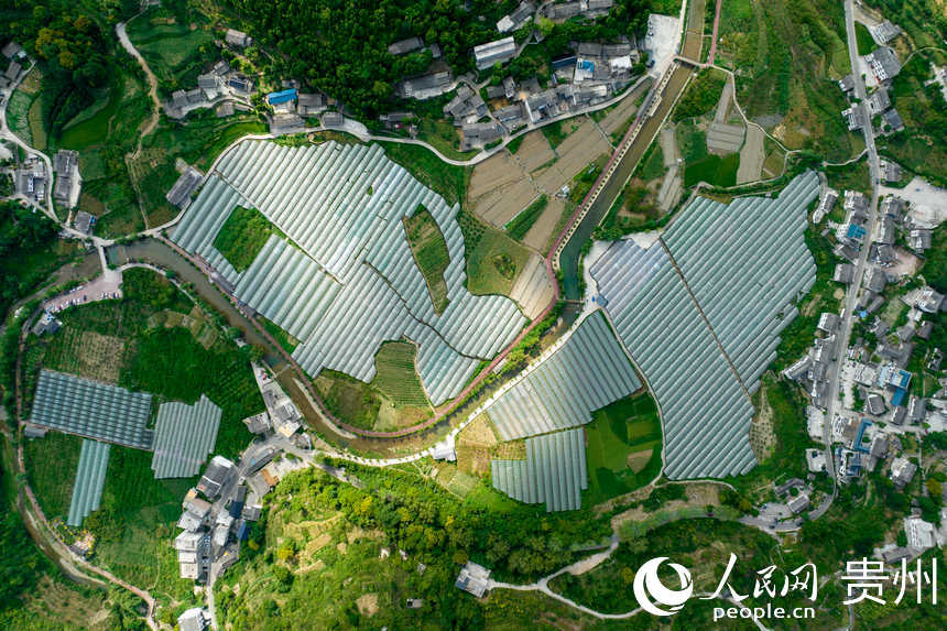 航拍群山環(huán)抱的長官司虹妤葡萄園。人民網(wǎng) 涂敏攝