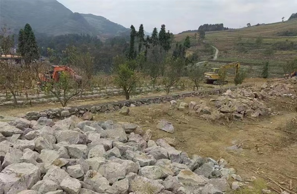 桐梓縣九壩鎮(zhèn)推進高標準農(nóng)田建設。貴州省農(nóng)業(yè)農(nóng)村廳供圖