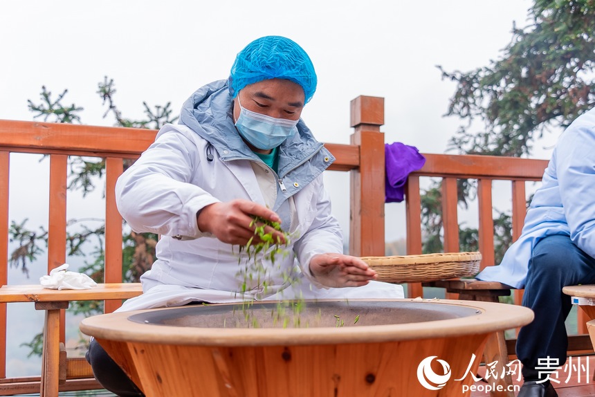 制茶工在炒制剛剛采摘下來的茶芽。人民網(wǎng) 涂敏攝