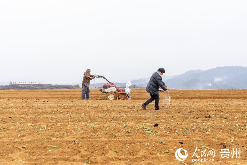 村民在田間勞動。人民網(wǎng) 涂敏攝