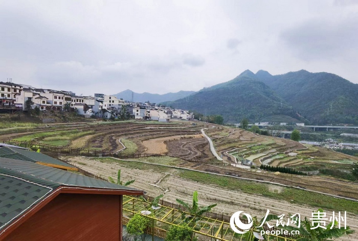 新屯村一隅。人民網(wǎng) 王秀芳攝