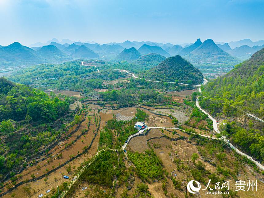 茂良村現(xiàn)有櫻桃樹6000余畝。人民網(wǎng) 陽茜攝