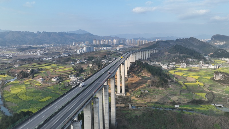 春日時節(jié)的金沙特大橋。陳雪攝