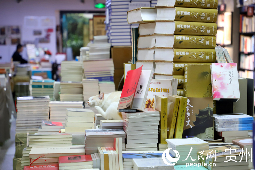 “也閑書局”一角。人民網(wǎng) 顧蘭云攝  