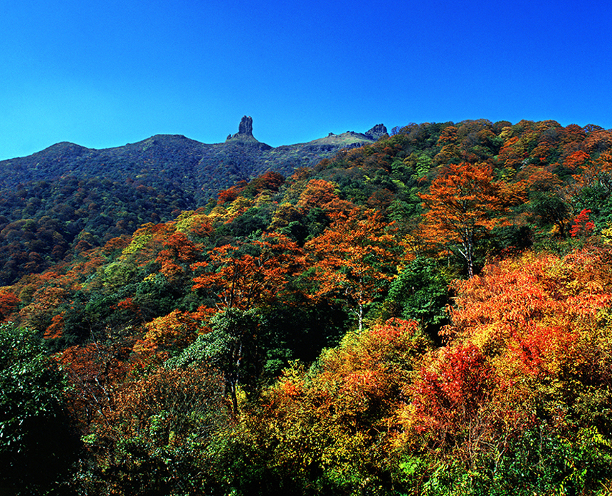 梵凈山秋天。何朝清攝