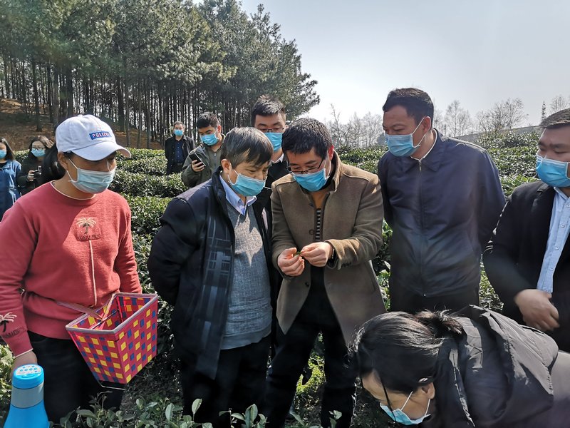 4.貴州大學(xué)校長宋寶安院士指導(dǎo)春耕備耕工作。貴州大學(xué)供圖.jpg