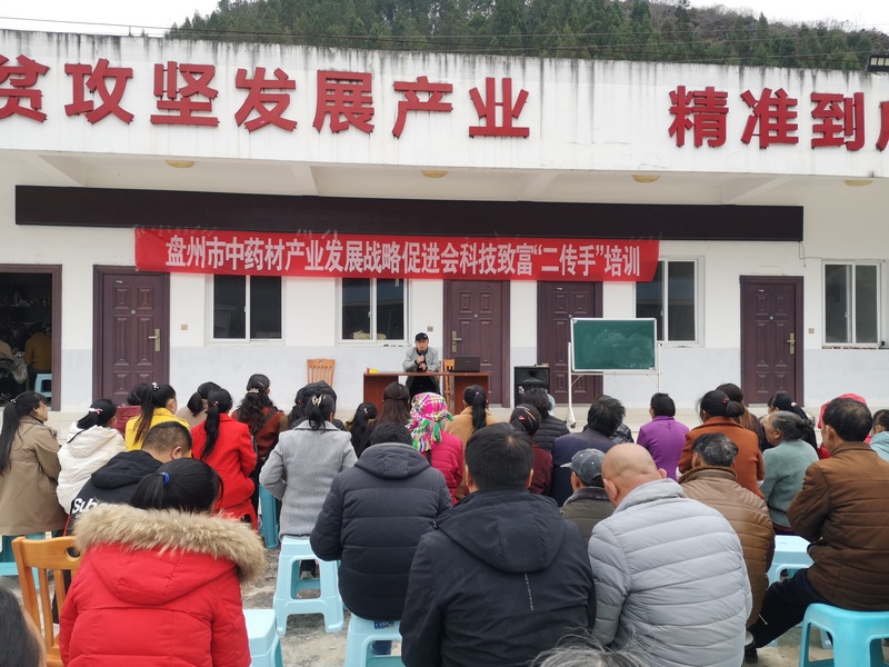 10.貴州中醫(yī)藥大學(xué)專家開展中藥種植技術(shù)培訓(xùn)。貴州中醫(yī)藥大學(xué)供圖.jpg