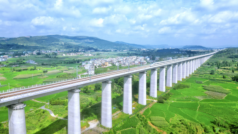 一列動(dòng)車(chē)組列車(chē)駛過(guò)貴南高鐵貴州段拉里雙線特大橋。朱貴昌 攝