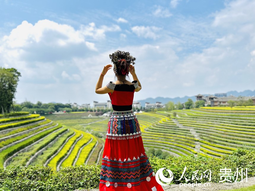 “城中花海梯田”，吸引了眾多游客前來(lái)觀賞打卡。人民網(wǎng) 敖嘉鈺攝 