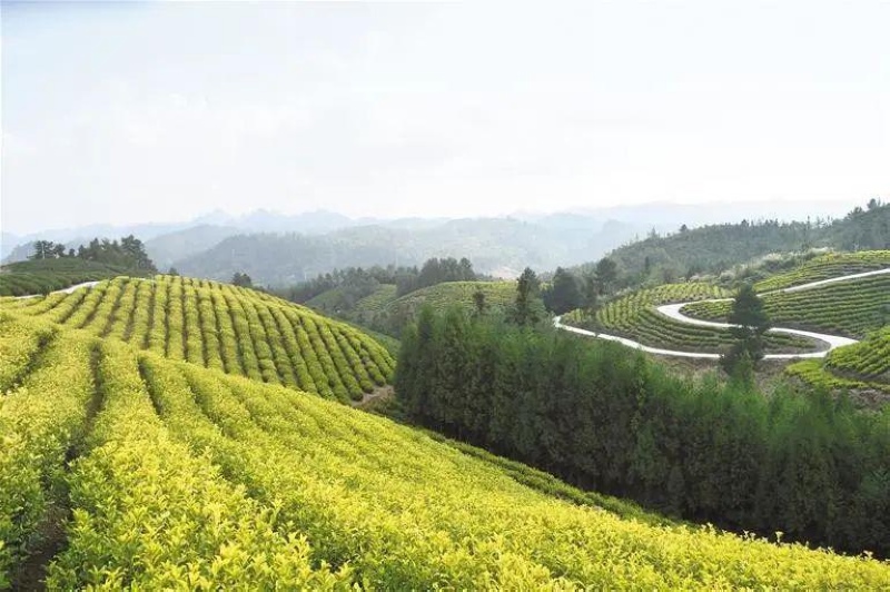 織金縣鄉(xiāng)村美景.jpg