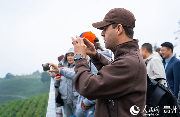 歐亞國家記者參觀神鵲茶場。人民網(wǎng) 陽茜攝
