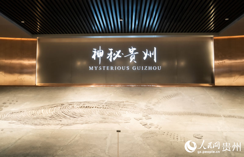 梁氏關(guān)嶺魚龍化石。人民網(wǎng) 陽茜攝