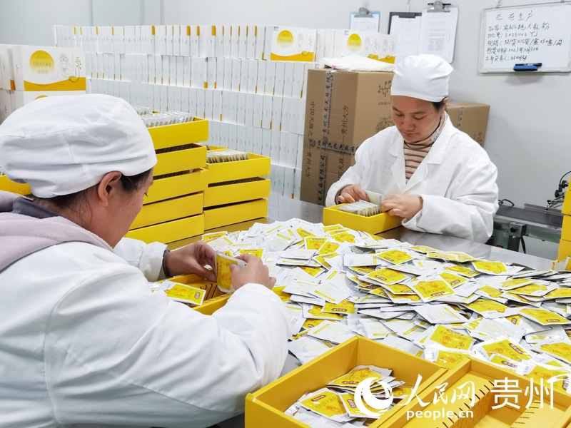 工人正在打包天麻粉。人民網(wǎng) 王秀芳攝