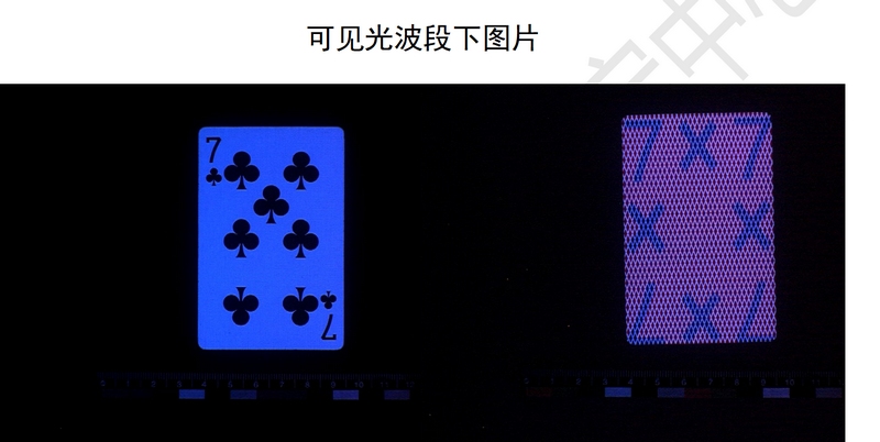 特殊方法檢查出的作弊撲克。貴州警察學(xué)院司法鑒定中心供圖