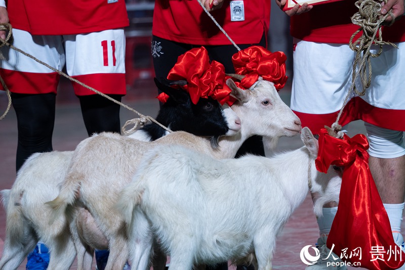 13 比賽獎(jiǎng)品之一的榕江香羊。人民網(wǎng)記者 涂敏 攝