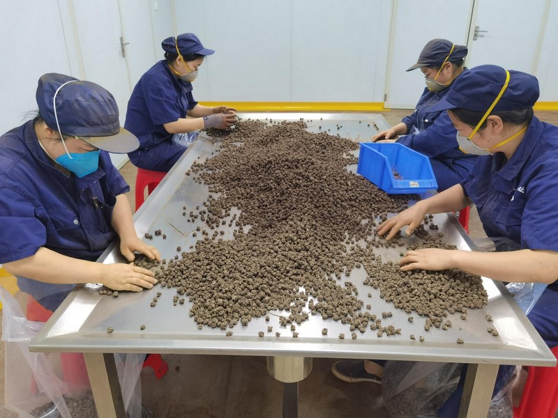 生產(chǎn)線上一派熱鬧景象。