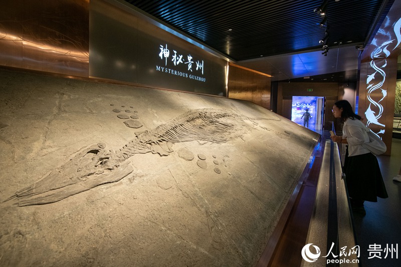 在貴州省地質博物館，游客正在參觀游覽。人民網(wǎng)記者 翁奇羽攝