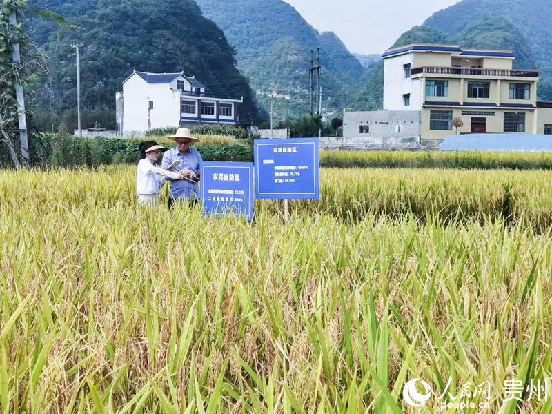 認真記錄。人民網記者 王秀芳攝