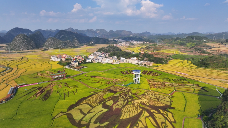 稻花鄉(xiāng)里農(nóng)文旅觀光園。受訪者供圖