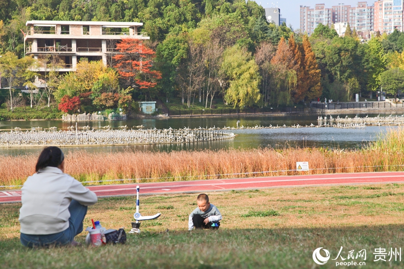 貴陽市白云區(qū)泉湖公園一角。人民網(wǎng) 龍章榆攝