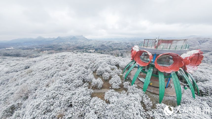 航拍雪后的百里杜鵑景區(qū)。人民網(wǎng)記者 涂敏攝
