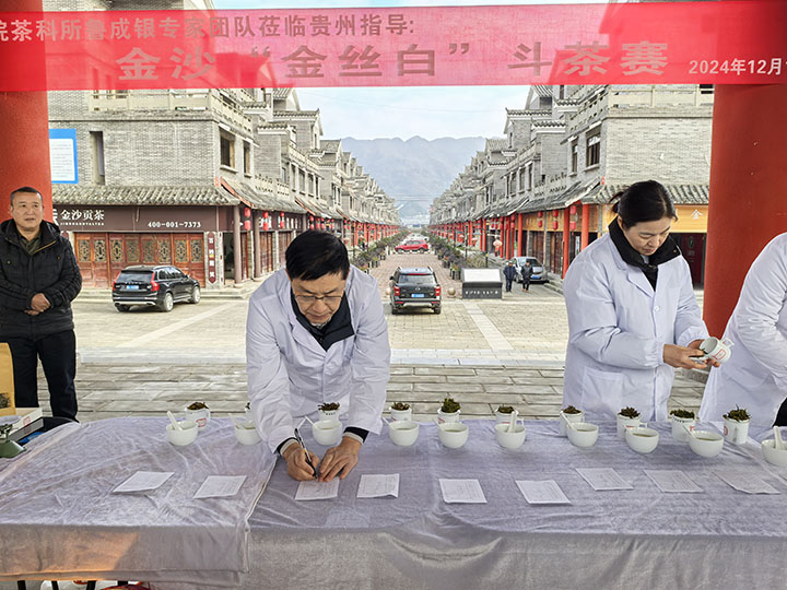 金沙縣2024年“金絲白”斗茶大賽現(xiàn)場(chǎng)。