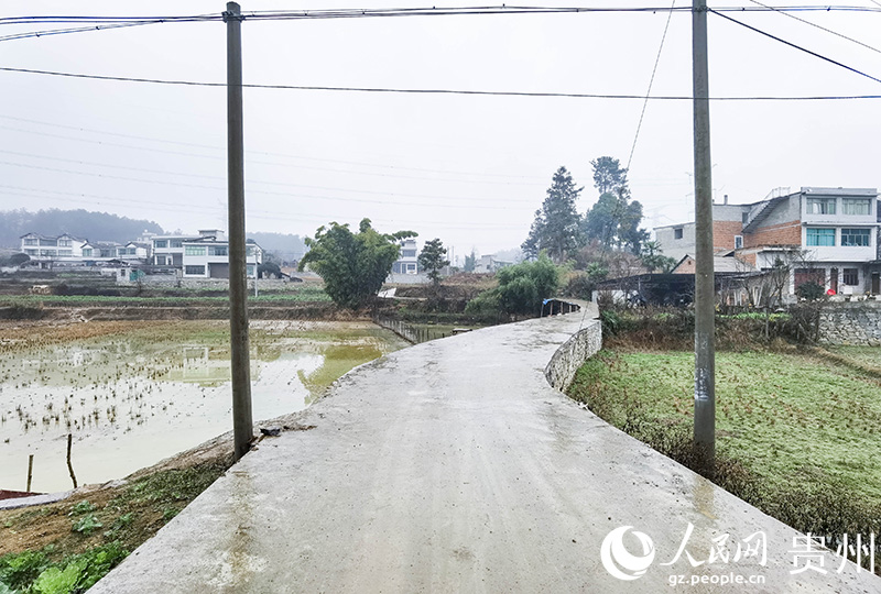 煥然一新的新河組通組路。人民網(wǎng)記者 王秀芳攝