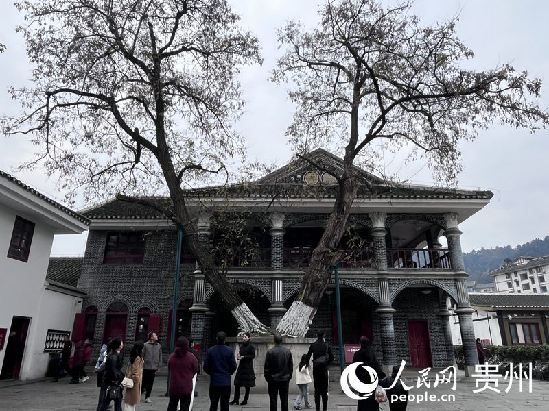 遵義會(huì)議會(huì)址小樓前的百歲大槐樹吸引游客駐足。人民網(wǎng) 陳潔泉攝
