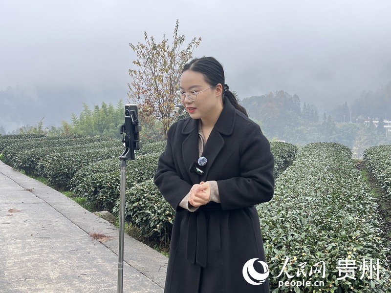 杜富佳直接將茶園變成直播間。人民網(wǎng) 陳潔泉攝