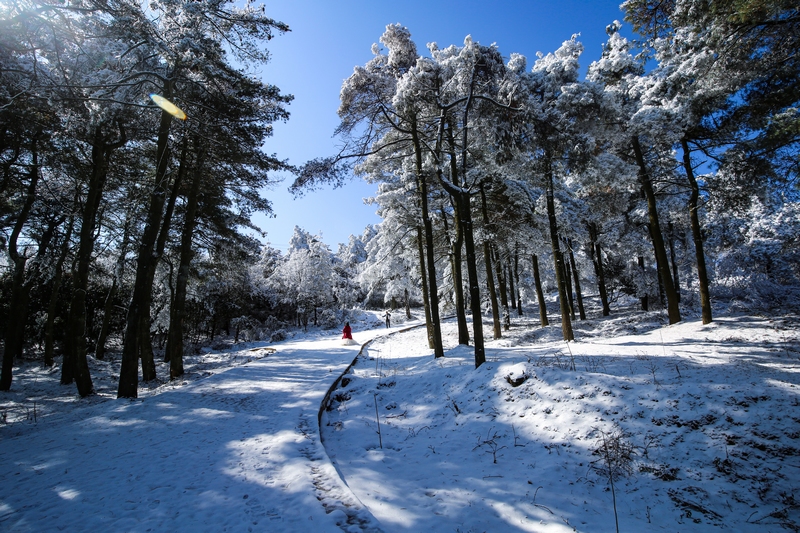雪后初霽，玉舍國(guó)家森林公園霧凇景觀美輪美奐。趙樺攝
