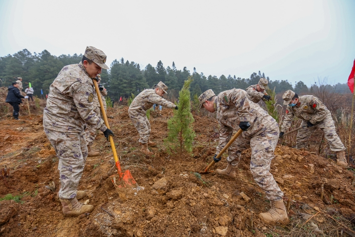人武部官兵參加植樹。陳春志攝