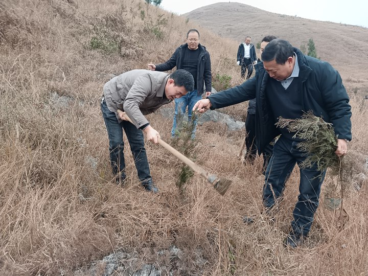 坪上鎮(zhèn)干部群眾義務(wù)植樹現(xiàn)場。