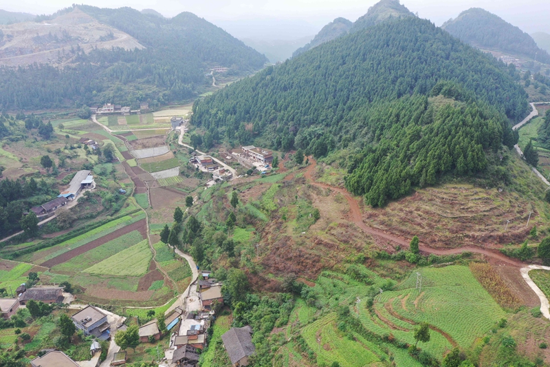 新光村撂荒地圖斑整治點(diǎn)之一（習(xí)水縣融媒體中心供圖）.jpg