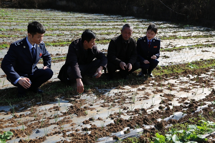2 圖為興義市稅務(wù)局稅務(wù)人員到馬嶺街道平寨村了解大蒜種植情況，積極響應(yīng)涉稅訴求，講政策、送服務(wù)。 李歡歡 攝