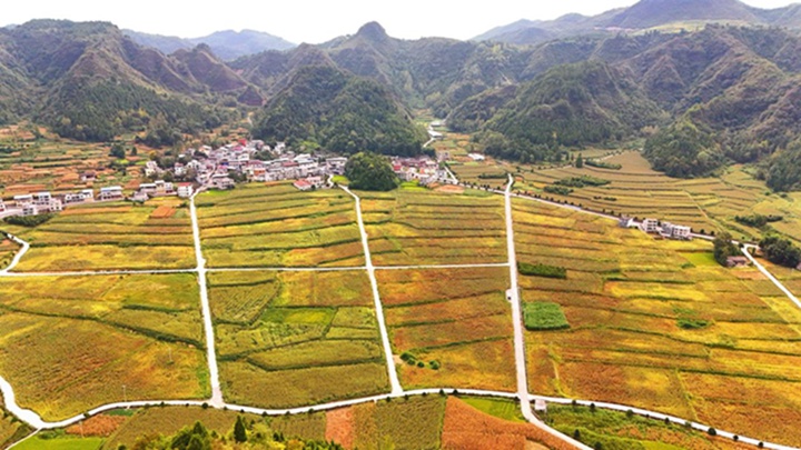 印江“農(nóng)工旅”三駕齊驅(qū) 推動(dòng)縣域經(jīng)濟(jì)高質(zhì)量發(fā)展。