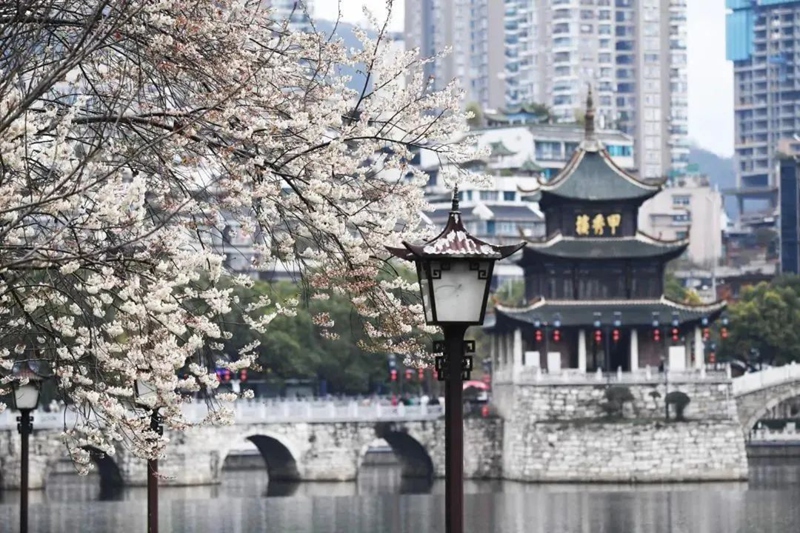 春日尋芳，花漾南明。