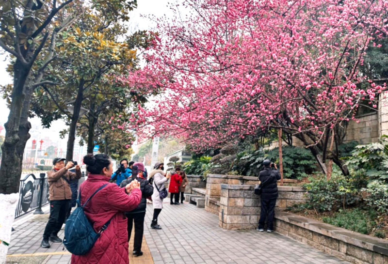 春日尋芳，花漾南明。