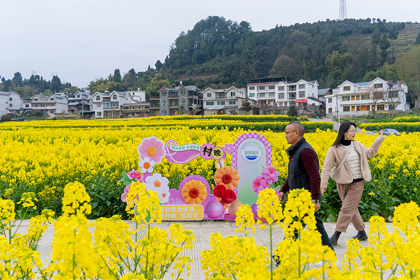 游客在油菜花田中游覽。人民網(wǎng)記者 涂敏攝