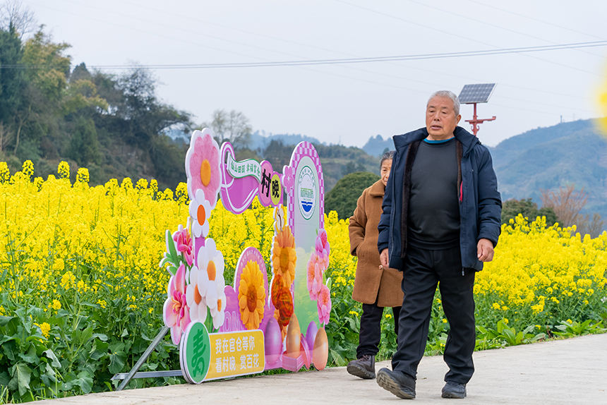 游客在油菜花田中游覽。人民網(wǎng)記者 涂敏攝