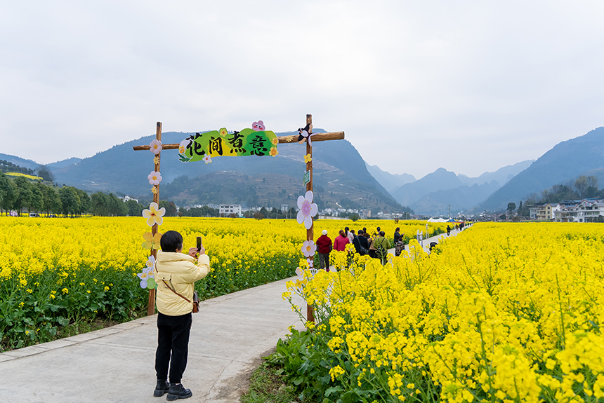 游客在油菜花田中打卡拍照。人民網(wǎng)記者 涂敏攝