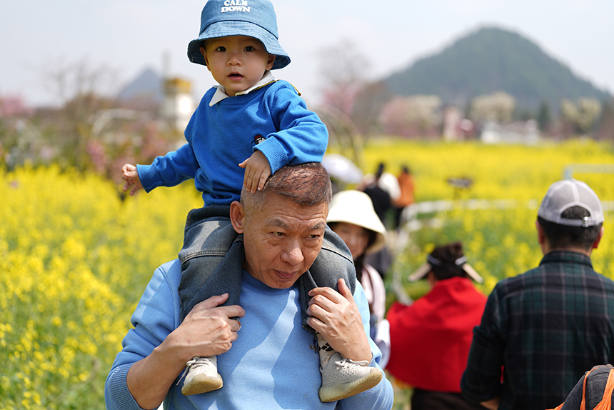 永樂花海親子出游。 王平亮攝