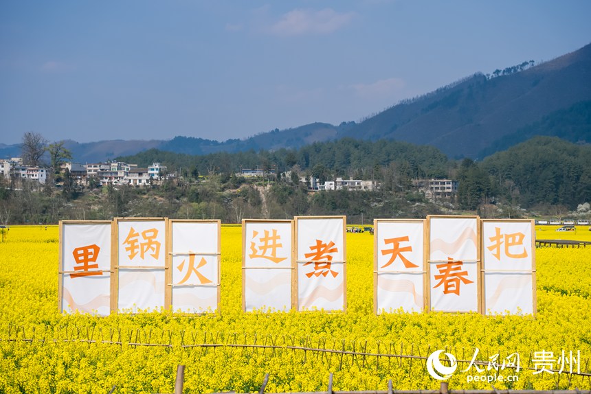 景區(qū)內(nèi)盛開的油菜花。人民網(wǎng)記者 涂敏攝