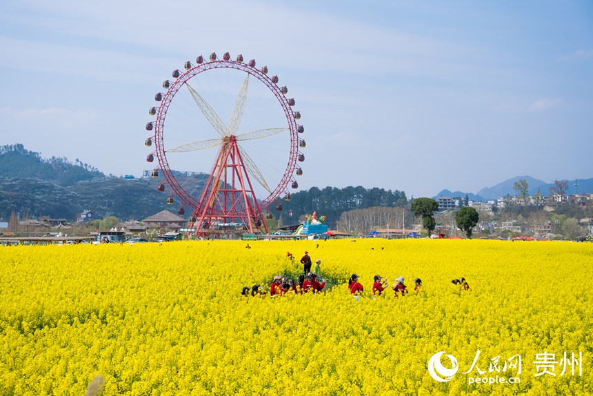 游客在油菜花田中賞花拍照。人民網(wǎng)記者 涂敏攝