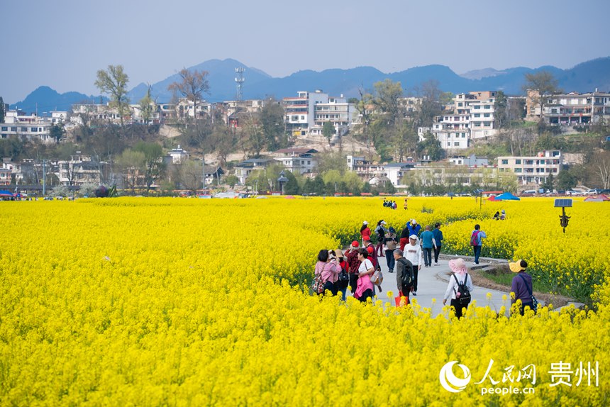 游客在油菜花田中賞花拍照。人民網(wǎng)記者 涂敏攝