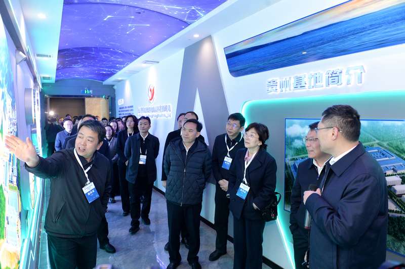 參會(huì)嘉賓到貴州裕能、福泉盛屯企業(yè)實(shí)地考察。向憶峰攝