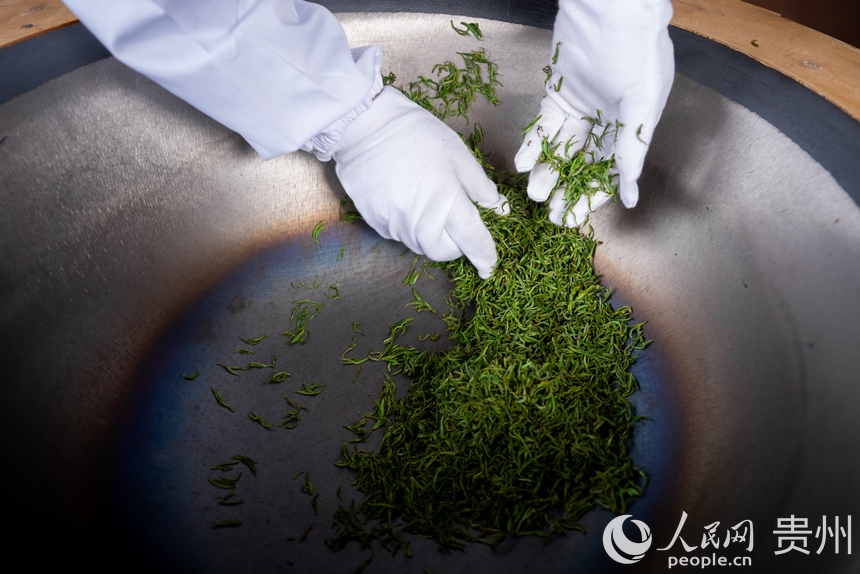 活動現(xiàn)場傳統(tǒng)制茶技藝展示。人民網(wǎng)記者 涂敏攝