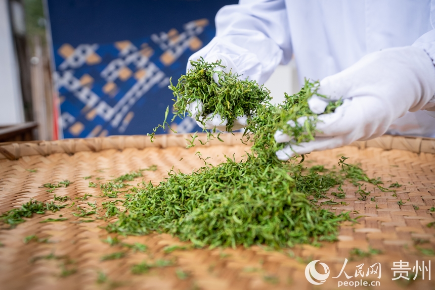 活動現(xiàn)場傳統(tǒng)制茶技藝展示。人民網(wǎng)記者 涂敏攝