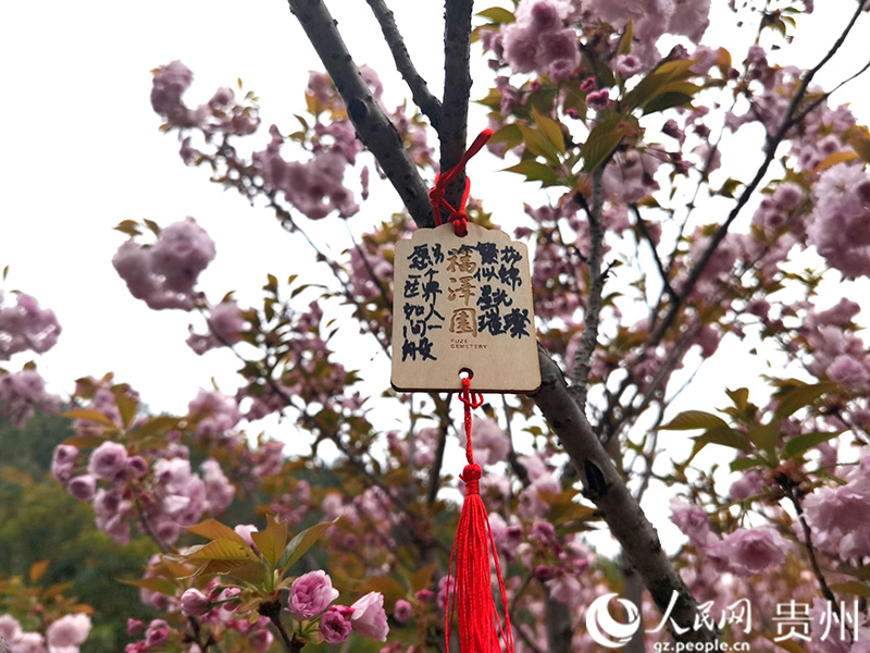 懸掛“生命寄語”木牌。人民網(wǎng)記者 王秀芳攝