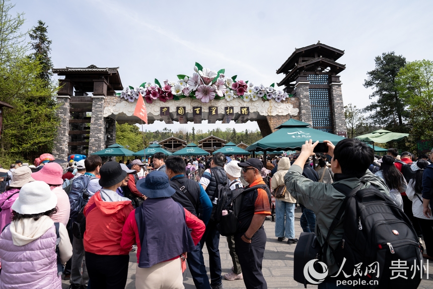 游客正排隊進入景區(qū)觀賞盛開的杜鵑花。人民網記者 涂敏攝